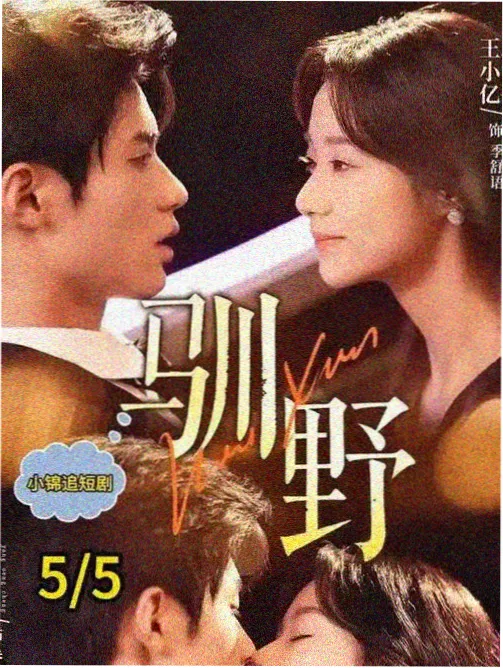 山野回声海报